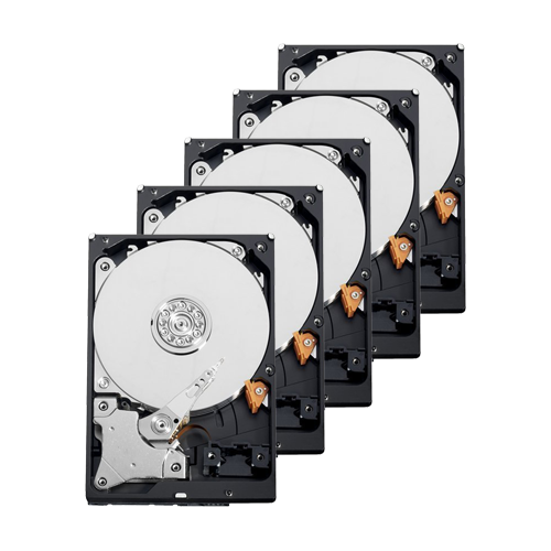 Packung/Kit mit Festplatten - 10 Einheiten - Western Digital WD80PURX Modell - Bis zu 32 Übertragungen von künstlicher Intellige